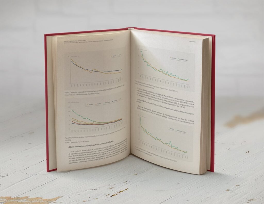 Diseño de gráficas y maquetación del libro “Percepción de riesgo vial de jóvenes en riesgo o exclusión social" - Un trabajo de Silvia Calavera