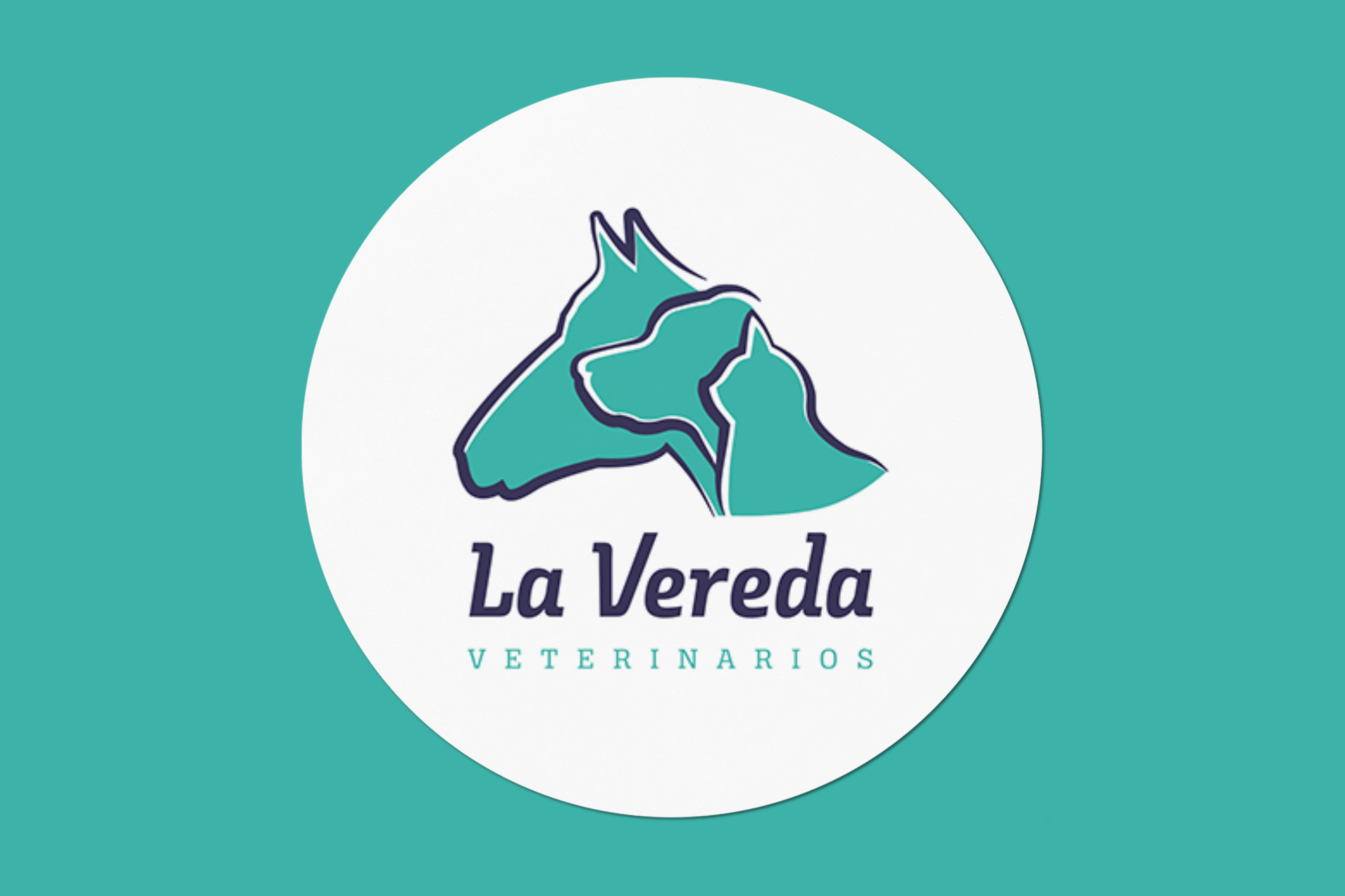 Diseño de logotipo y desarrollo de página web para La Vereda Veterinarios - Un trabajo de Silvia Calavera