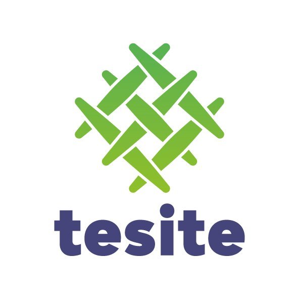 Diseño de logotipo para tesite - Un trabajo de Silvia Calavera