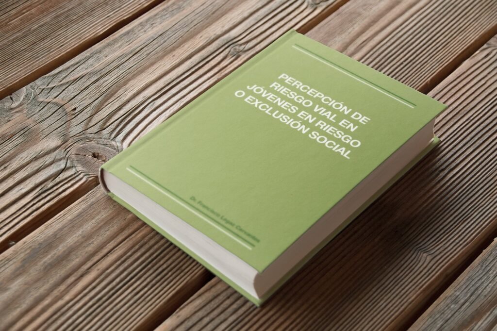 Diseño de gráficas y maquetación del libro “Percepción de riesgo vial de jóvenes en riesgo o exclusión social" - Un trabajo de Silvia Calavera